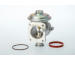 AGR - Ventil BorgWarner 710924D