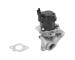 AGR-Ventil BorgWarner 710929R