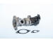AGR-Ventil BorgWarner 710976R