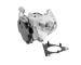 AGR - Ventil BorgWarner 72147559D