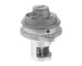 AGR-Ventil BorgWarner 729007D