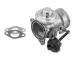 AGR - Ventil BorgWarner 7327D