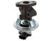 AGR-Ventil HOFFER 7518852