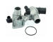 Termostat, chladivo HOFFER 8192057