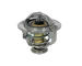 Termostat, chladivo HOFFER 8192126