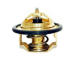 Termostat, chladivo HOFFER 8192182