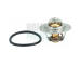 Termostat, chladivo HOFFER 8192184