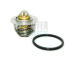 Termostat, chladivo HOFFER 8192211
