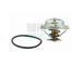 Termostat, chladivo HOFFER 8192217