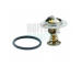 Termostat, chladivo HOFFER 8192259