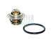 Termostat, chladivo HOFFER 8192301