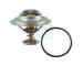 Termostat, chladivo HOFFER 8192318