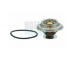 Termostat, chladivo HOFFER 8192328