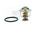 Termostat, chladivo HOFFER 8192331