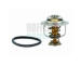 Termostat, chladivo HOFFER 8192334