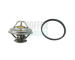 Termostat, chladivo HOFFER 8192336