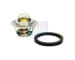 Termostat, chladivo HOFFER 8192401
