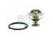 Termostat, chladivo HOFFER 8192412