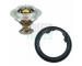 Termostat, chladivo HOFFER 8192417