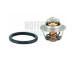 Termostat, chladivo HOFFER 8192433