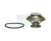 Termostat, chladivo HOFFER 8192476