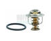 Termostat, chladivo HOFFER 8192520
