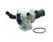 Termostat, chladivo HOFFER 8192547
