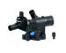 Termostat, chladivo HOFFER 8192576