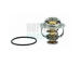 Termostat, chladivo HOFFER 8192615