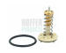 Termostat, chladivo HOFFER 8192621