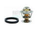 Termostat, chladivo HOFFER 8192623