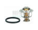 Termostat, chladivo HOFFER 8192625