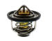 Termostat, chladivo HOFFER 8192628