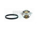 Termostat, chladivo HOFFER 8192631