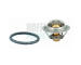 Termostat, chladivo HOFFER 8192633