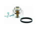 Termostat, chladivo HOFFER 8192637