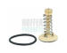 Termostat, chladivo HOFFER 8192646