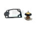 Termostat, chladivo HOFFER 8192678
