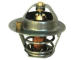 Termostat, chladivo HOFFER 8192714
