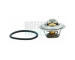 Termostat, chladivo HOFFER 8192737