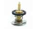 Termostat, chladivo HOFFER 8192739