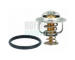 Termostat, chladivo HOFFER 8192741