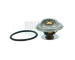 Termostat, chladivo HOFFER 8192753