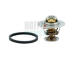 Termostat, chladivo HOFFER 8192757