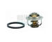 Termostat, chladivo HOFFER 8192760
