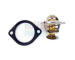 Termostat, chladivo HOFFER 8192796