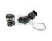 Termostat, chladivo HOFFER 8192805