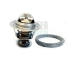Termostat, chladivo HOFFER 8192807