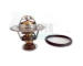 Termostat, chladivo HOFFER 8192831