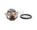 Termostat, chladivo HOFFER 8192832